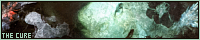 200x40 code
