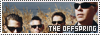 100x35 code