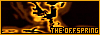 100x35 code