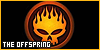 100x50 code