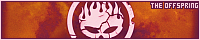 200x40 code