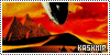 100x50 code