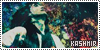 100x50 code