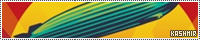 200x40 code