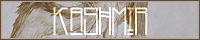 200x40 code
