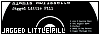 100x35 code