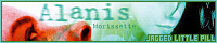 200x40 code