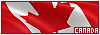 100x35 code