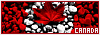 100x35 code