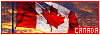 100x35 code