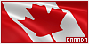 100x50 code