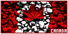 100x50 code