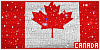 100x50 code