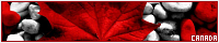 200x40 code