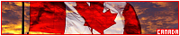 200x40 code