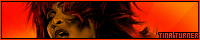 200x40 code