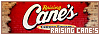100x35 code