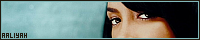 200x40 code