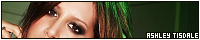 200x40 code