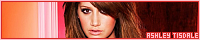 200x40 code