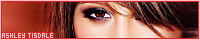200x40 code