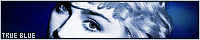 200x40 code