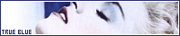 200x40 code