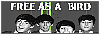 100x35 code
