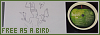 100x35 code
