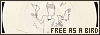 100x35 code