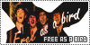 100x50 code