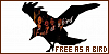 100x50 code