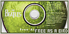 100x50 code