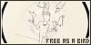 100x50 code