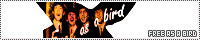 200x40 code