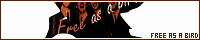 200x40 code