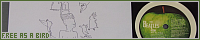 200x40 code
