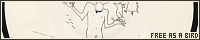 200x40 code