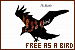 75x50 code