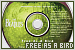 75x50 code
