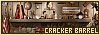 100x35 code