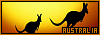 100x35 code
