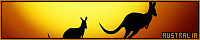 200x40 code
