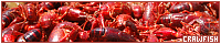 Crawfish