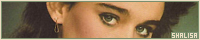 200x40 code