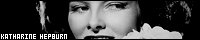 200x40 code