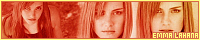200x40 code