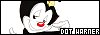 100x35 code