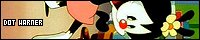 200x40 code