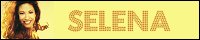 200x40 code